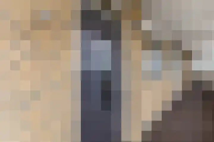 Scheepjeshof 101 Veenendaal thumbnail 10