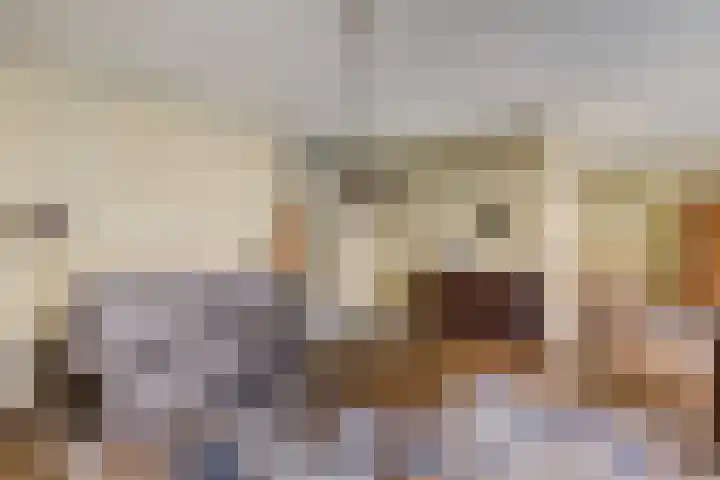 Scheepjeshof 101 Veenendaal thumbnail 16
