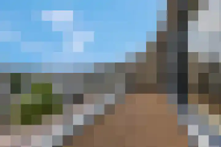 Scheepjeshof 101 Veenendaal thumbnail 22