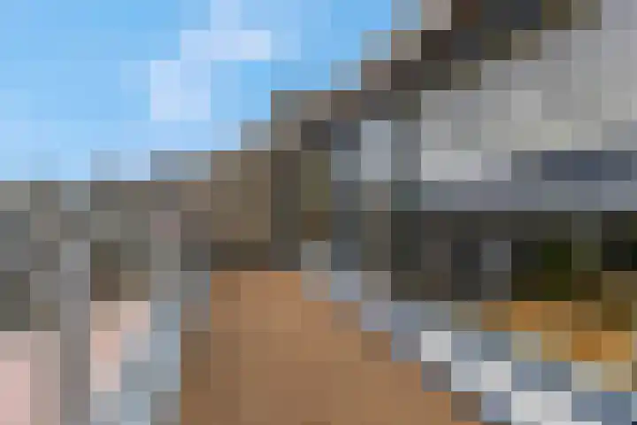 Scheepjeshof 101 Veenendaal thumbnail 23