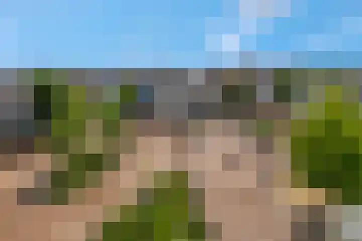 Scheepjeshof 101 Veenendaal thumbnail 24