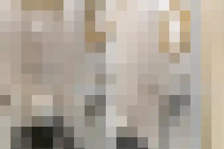 Scheepjeshof 101 Veenendaal thumbnail 36
