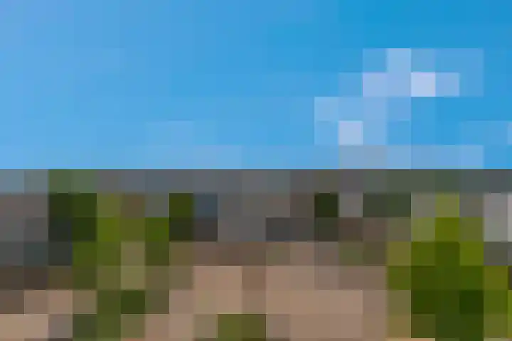 Scheepjeshof 101 Veenendaal thumbnail 37