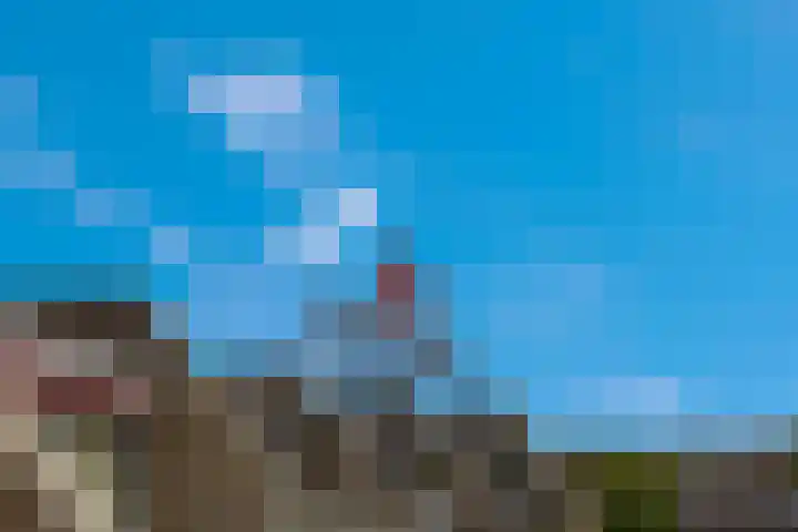 Scheepjeshof 101 Veenendaal thumbnail 38