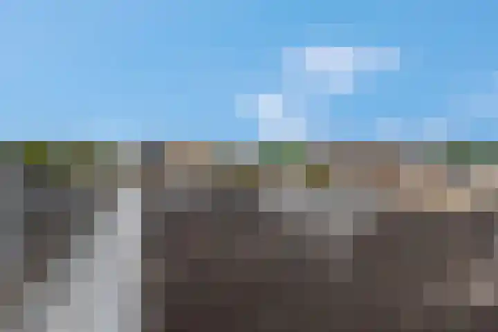 Scheepjeshof 101 Veenendaal thumbnail 39