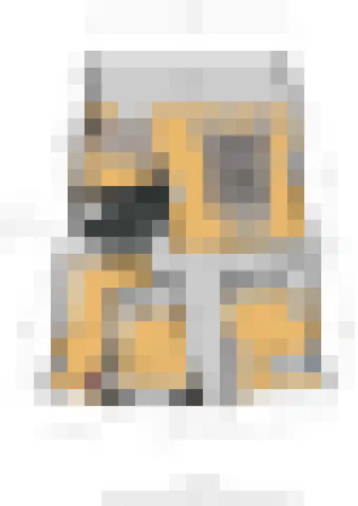 Scheepjeshof 101 Veenendaal thumbnail 42