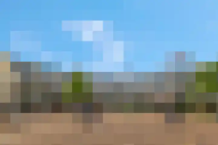 Scheepjeshof 101 Veenendaal thumbnail 5