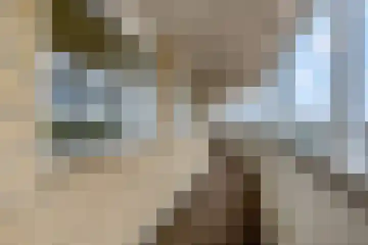 Scheepjeshof 101 Veenendaal thumbnail 8