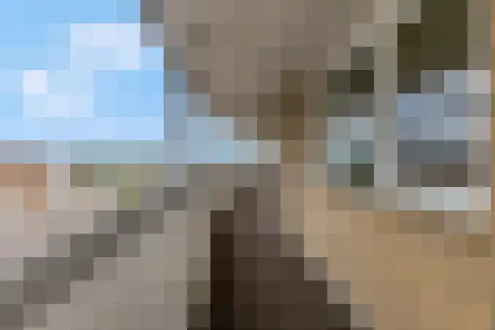 Scheepjeshof 101 Veenendaal thumbnail 9