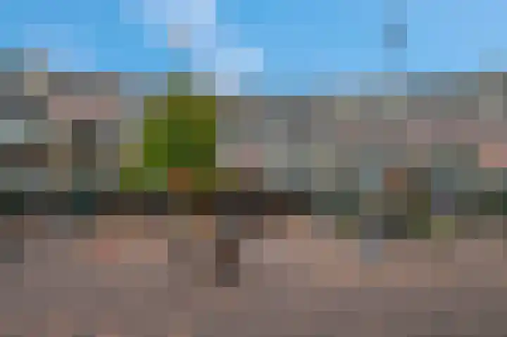 Scheepjeshof 124 Veenendaal thumbnail 14