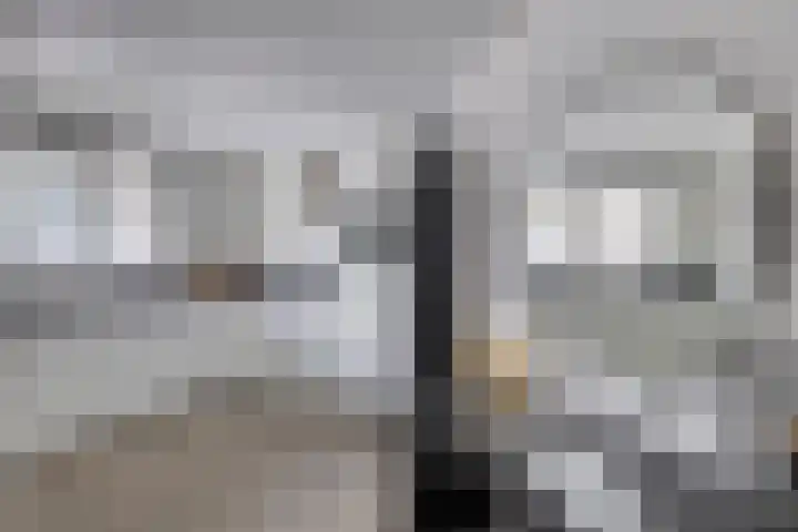 Scheepjeshof 140 Veenendaal thumbnail 11