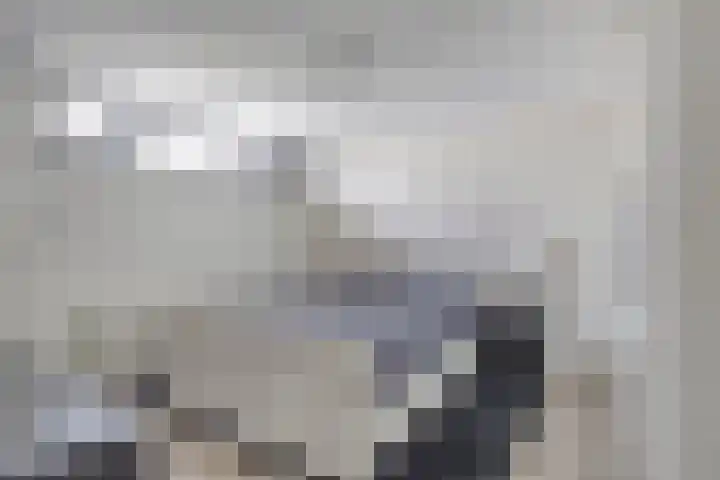 Scheepjeshof 140 Veenendaal thumbnail 14