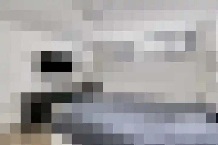 Scheepjeshof 140 Veenendaal thumbnail 15