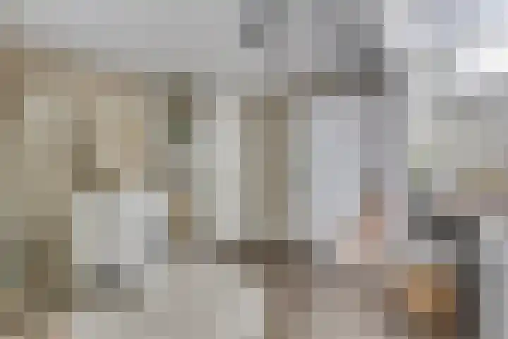 Scheepjeshof 140 Veenendaal thumbnail 16