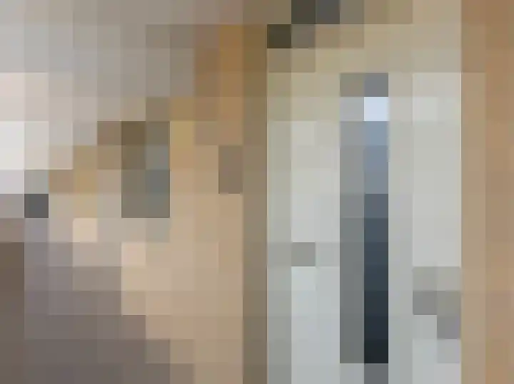 Scheepjeshof 140 Veenendaal thumbnail 5