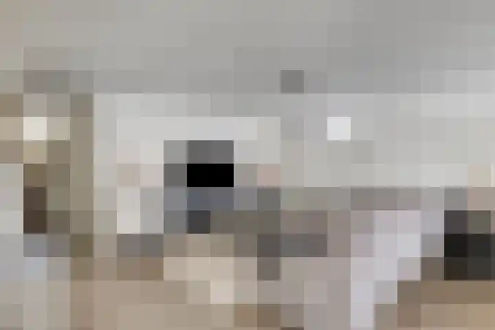 Scheepjeshof 140 Veenendaal thumbnail 7