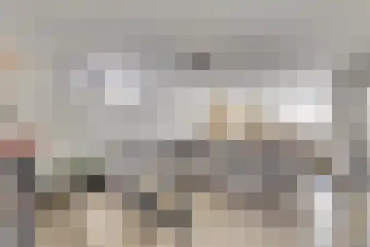 Scheepjeshof 140 Veenendaal thumbnail 8