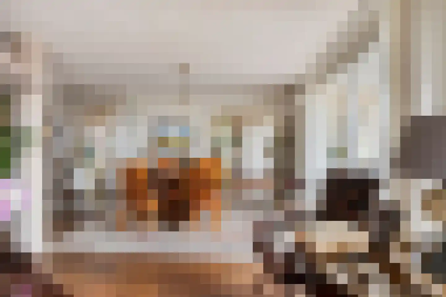 Scheepjeshof 161 Veenendaal thumbnail 12