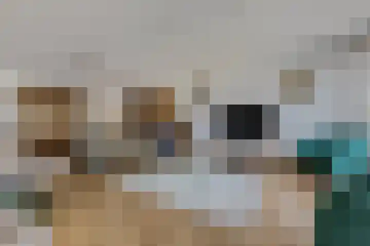 Scheepjeshof 171 Veenendaal thumbnail 16