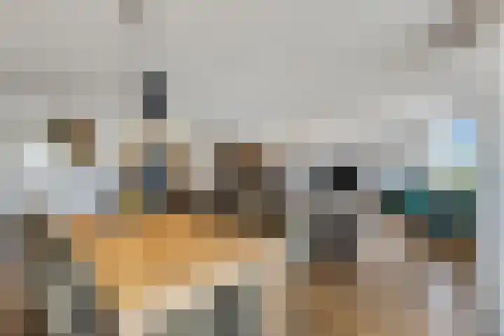 Scheepjeshof 171 Veenendaal thumbnail 17