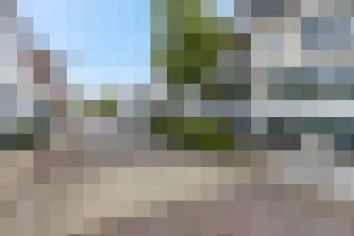 Scheepjeshof 171 Veenendaal thumbnail 5