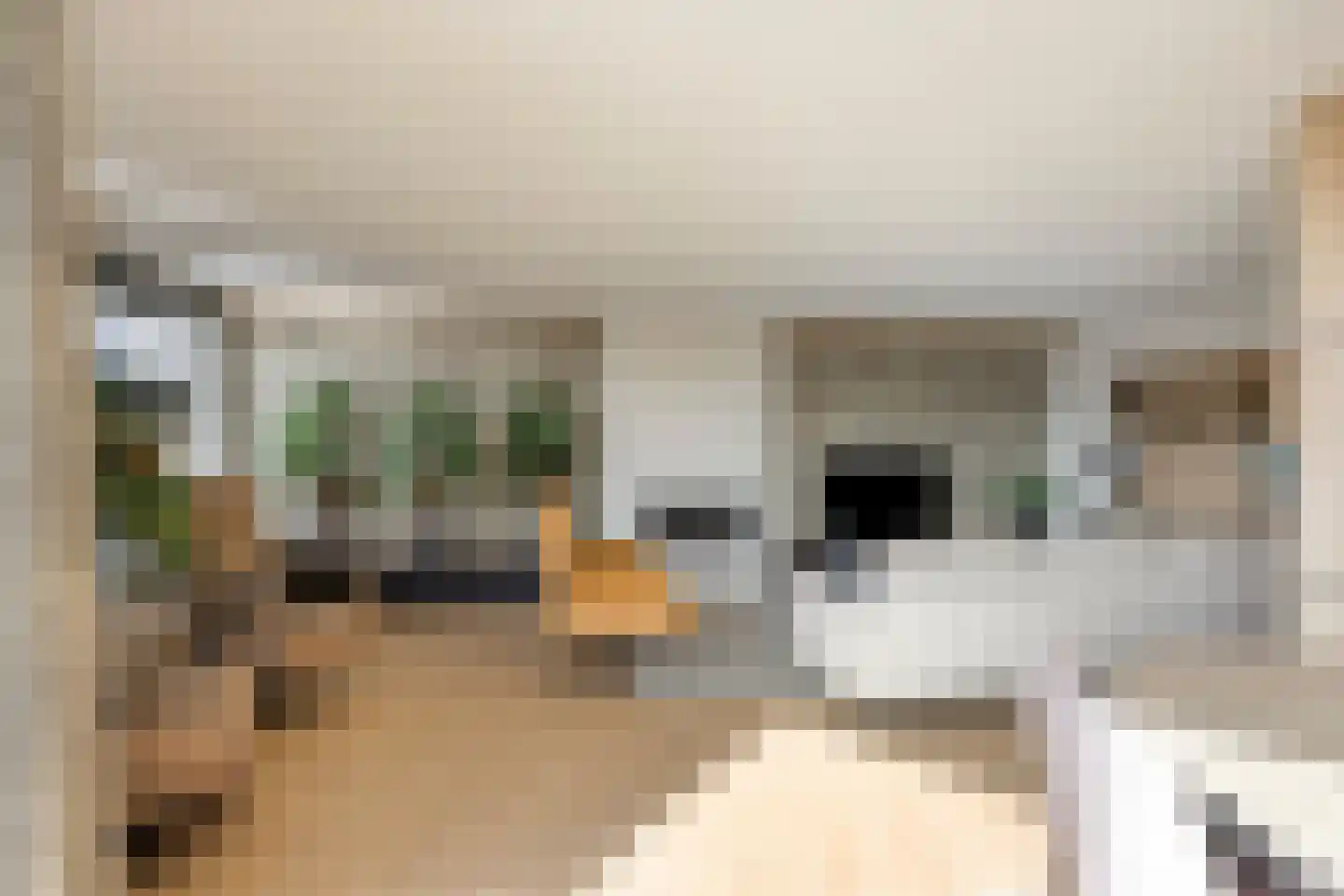 Scheepjeshof 193 Veenendaal thumbnail 14