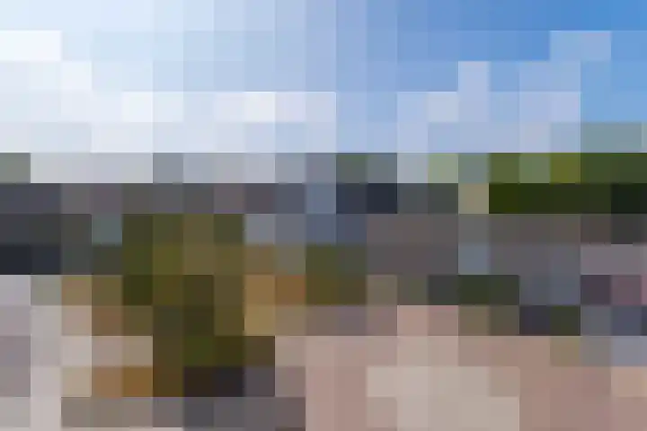 Scheepjeshof 201 Veenendaal thumbnail 13