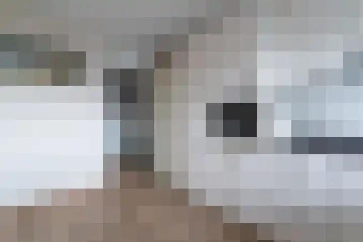 Scheepjeshof 201 Veenendaal thumbnail 18