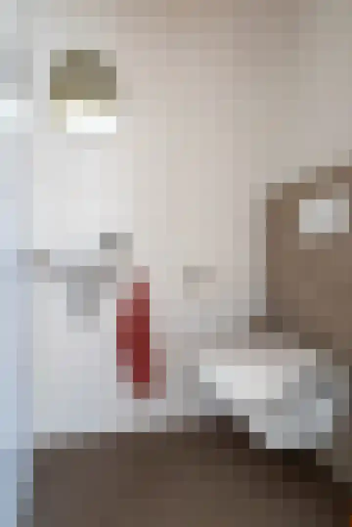 Scheepjeshof 201 Veenendaal thumbnail 23