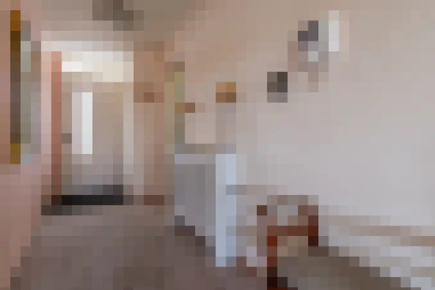 Scheepjeshof 209 Veenendaal thumbnail 14