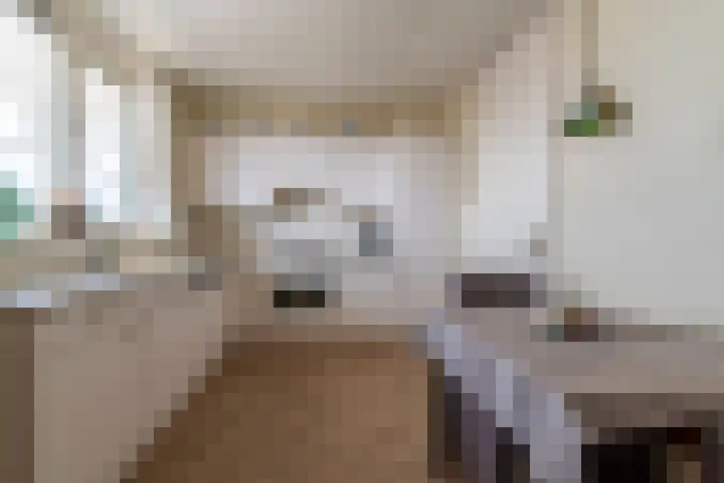 Scheepjeshof 209 Veenendaal thumbnail 15