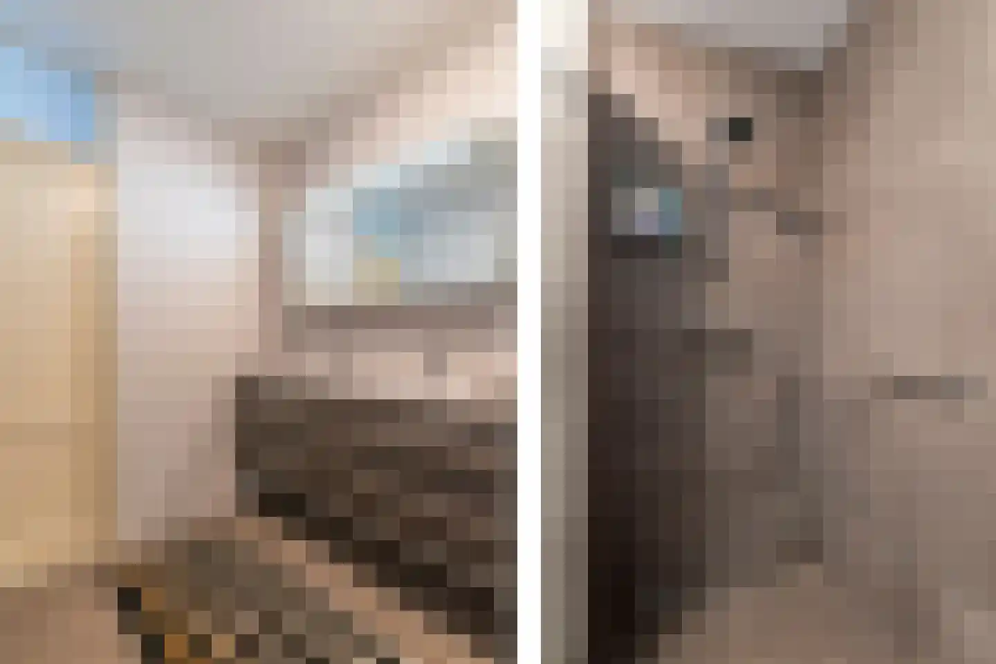 Scheepjeshof 209 Veenendaal thumbnail 22