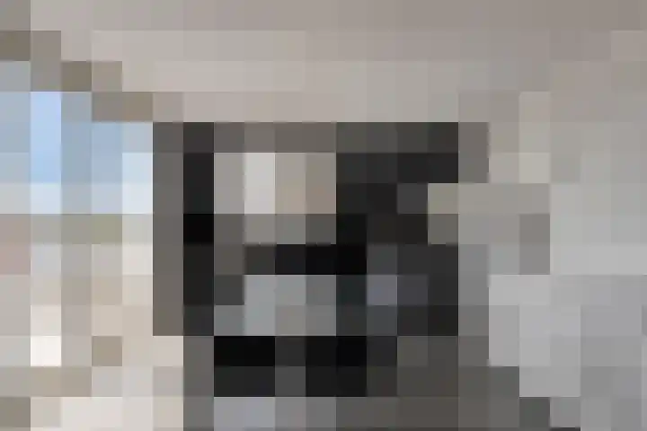 Scheepjeshof 215 Veenendaal thumbnail 15