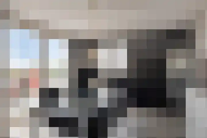 Scheepjeshof 215 Veenendaal thumbnail 16