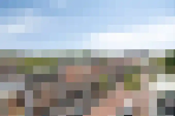 Scheepjeshof 215 Veenendaal thumbnail 26