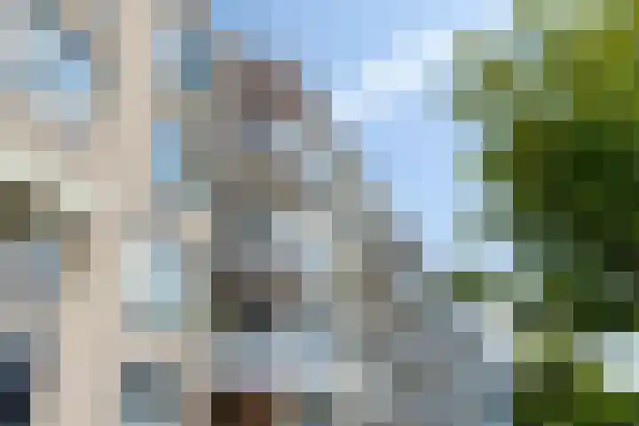 Scheepjeshof 215 Veenendaal thumbnail 4