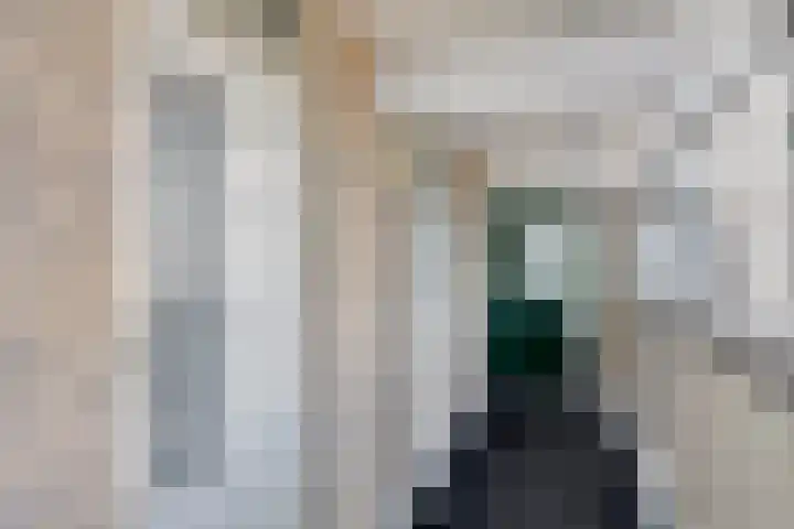 Scheepjeshof 215 Veenendaal thumbnail 9