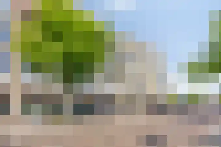 Scheepjeshof 27 Veenendaal thumbnail 23