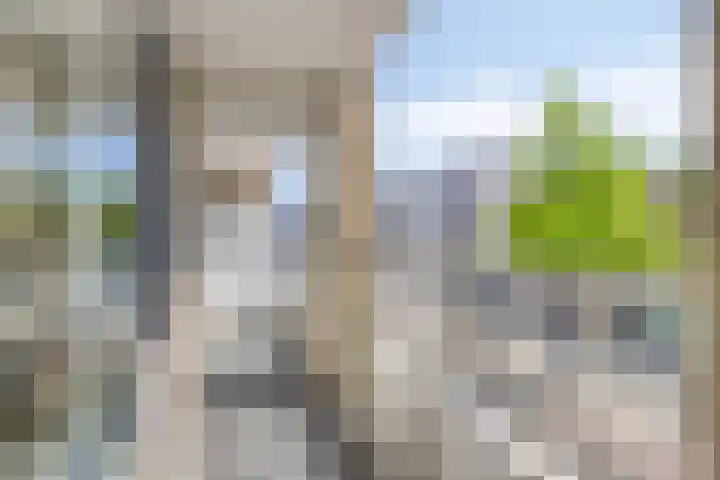 Scheepjeshof 27 Veenendaal thumbnail 4