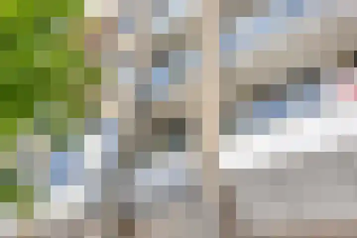Scheepjeshof 27 Veenendaal thumbnail 5