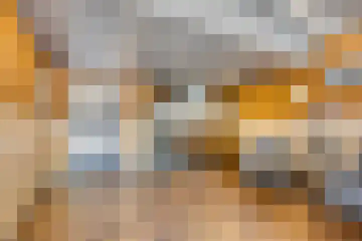 Scheepjeshof 27 Veenendaal thumbnail 7