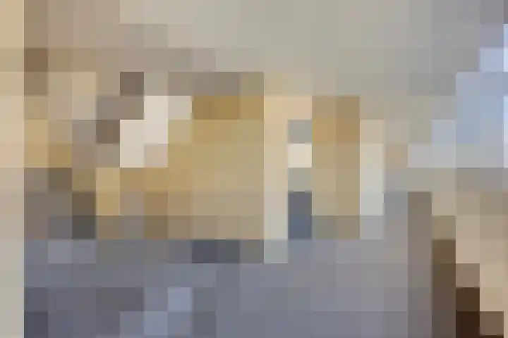Scheepjeshof 27 Veenendaal thumbnail 9