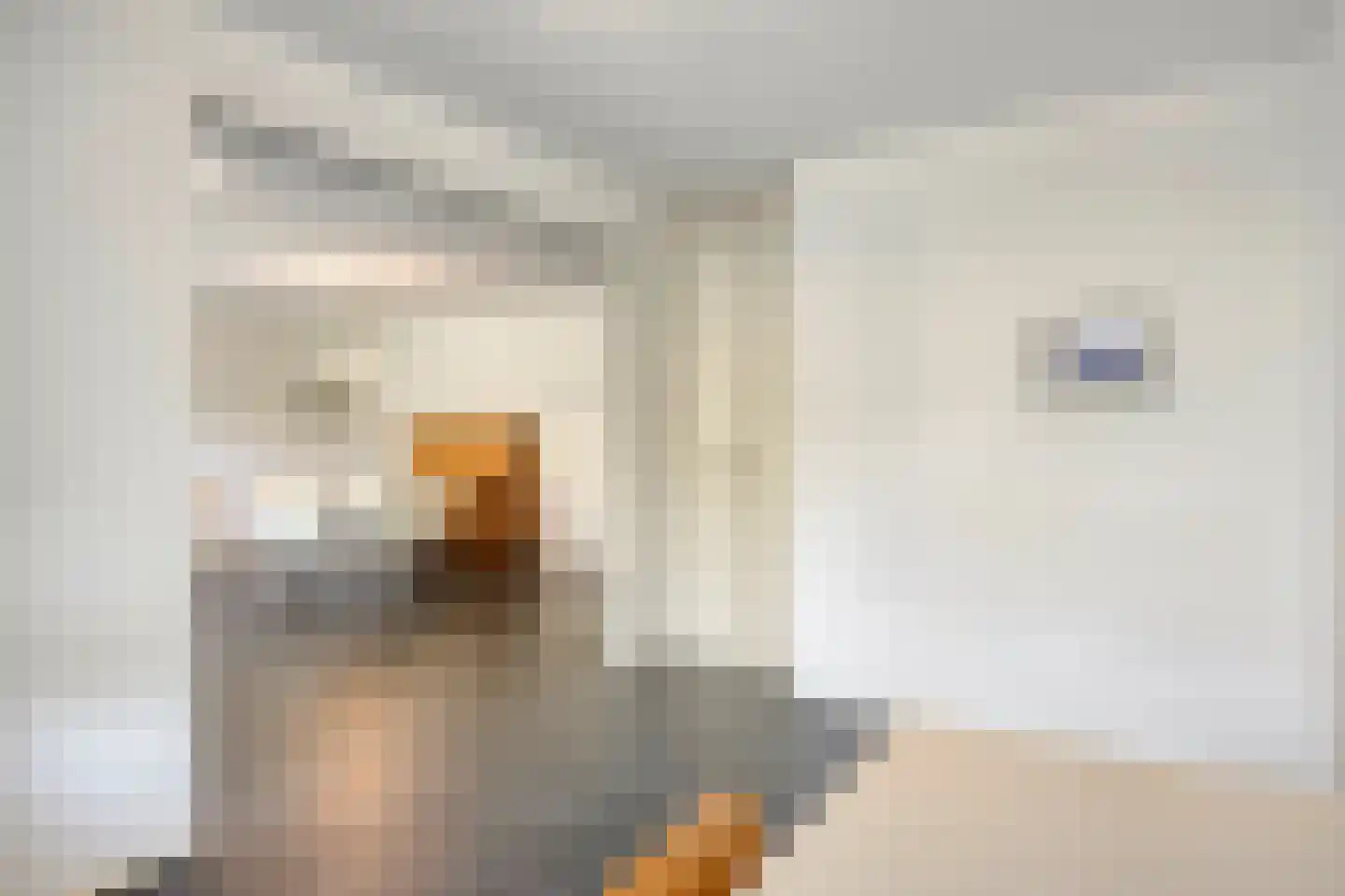 Scheepjeshof 31 Veenendaal thumbnail 17
