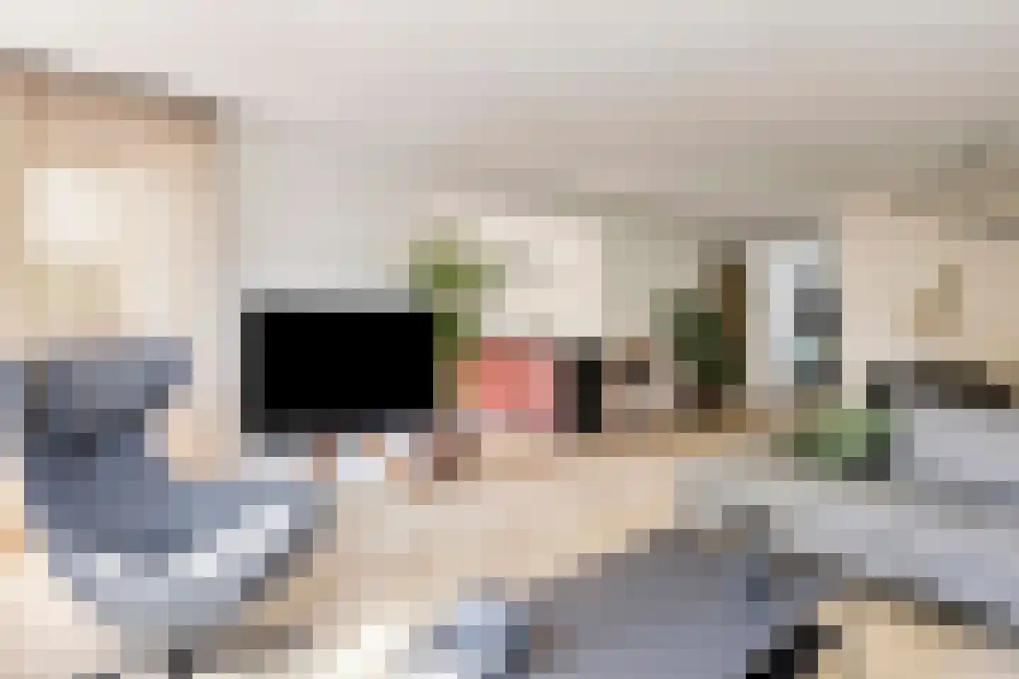 Scheepjeshof 33 Veenendaal thumbnail 14