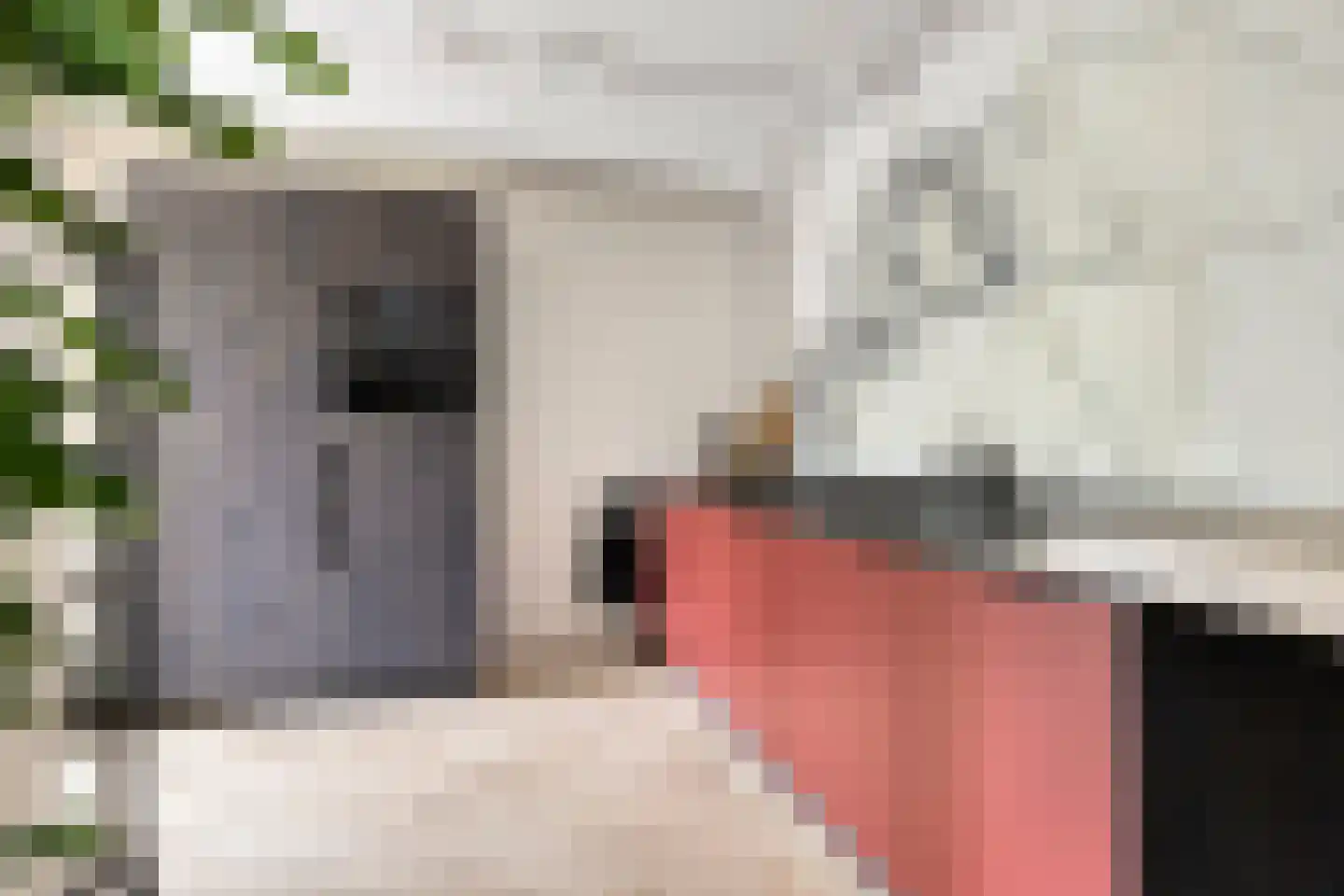 Scheepjeshof 33 Veenendaal thumbnail 21