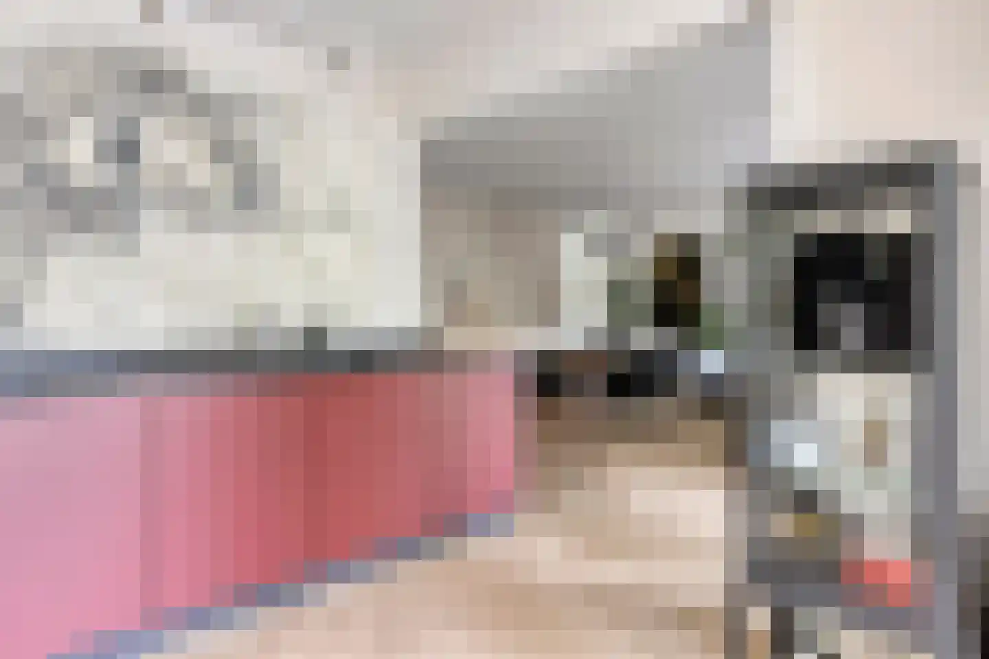 Scheepjeshof 33 Veenendaal thumbnail 23