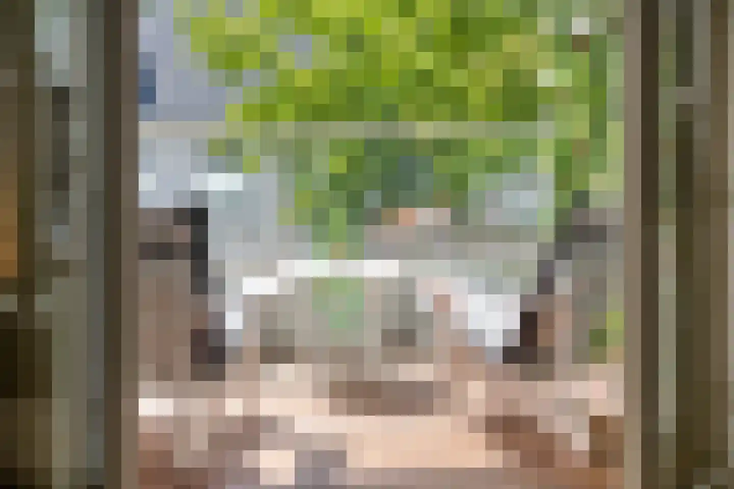 Scheepjeshof 33 Veenendaal thumbnail 45