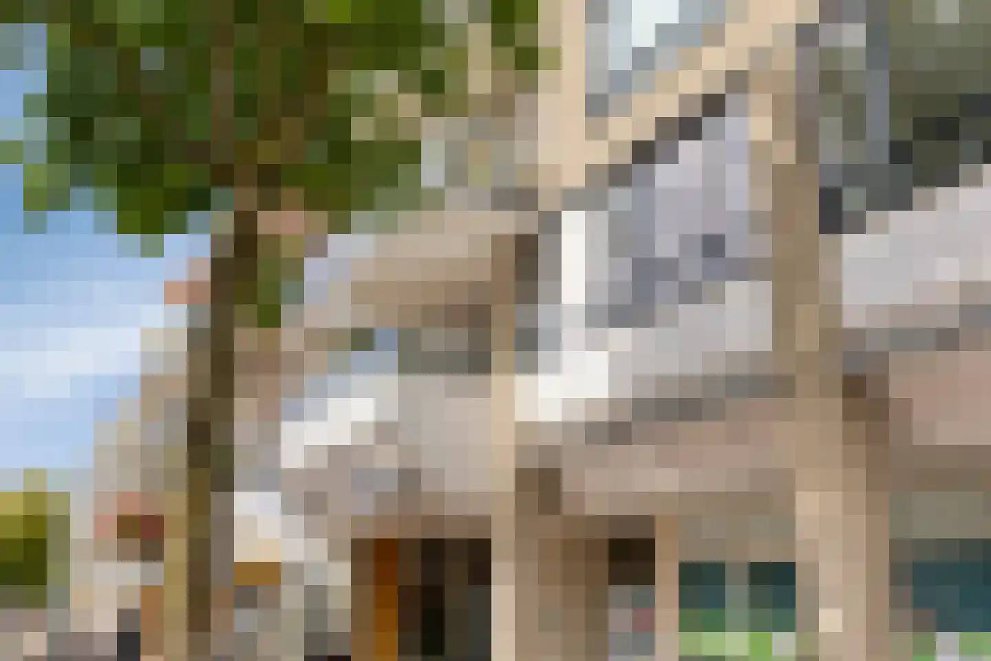 Scheepjeshof 33 Veenendaal thumbnail 54