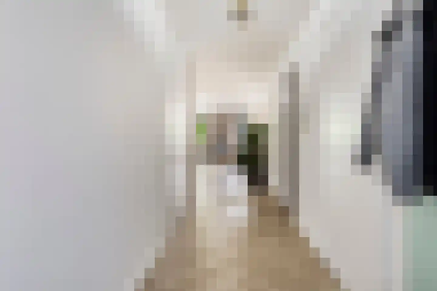 Scheepjeshof 33 Veenendaal thumbnail 6
