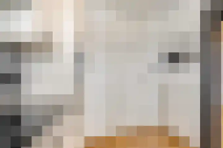 Scheepjeshof 5 Veenendaal thumbnail 12